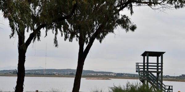 La Mata